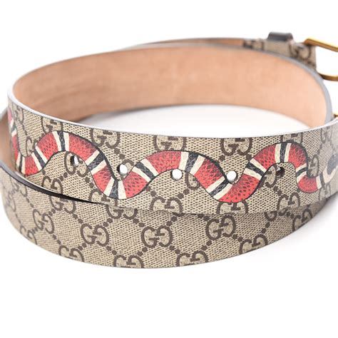 GG Supreme belt with Kingsnake print 